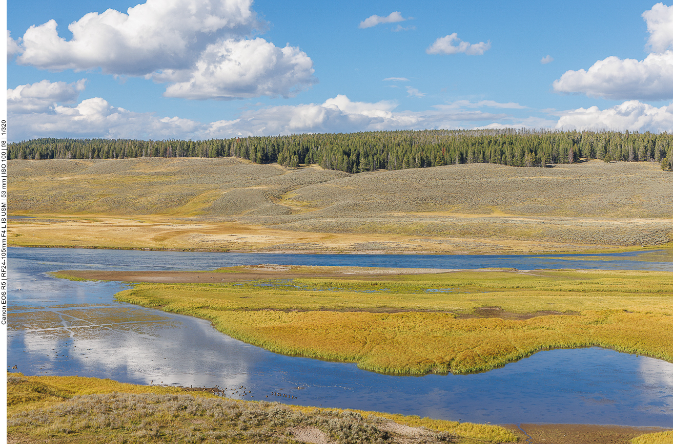 Flusstal im Hayden Valley