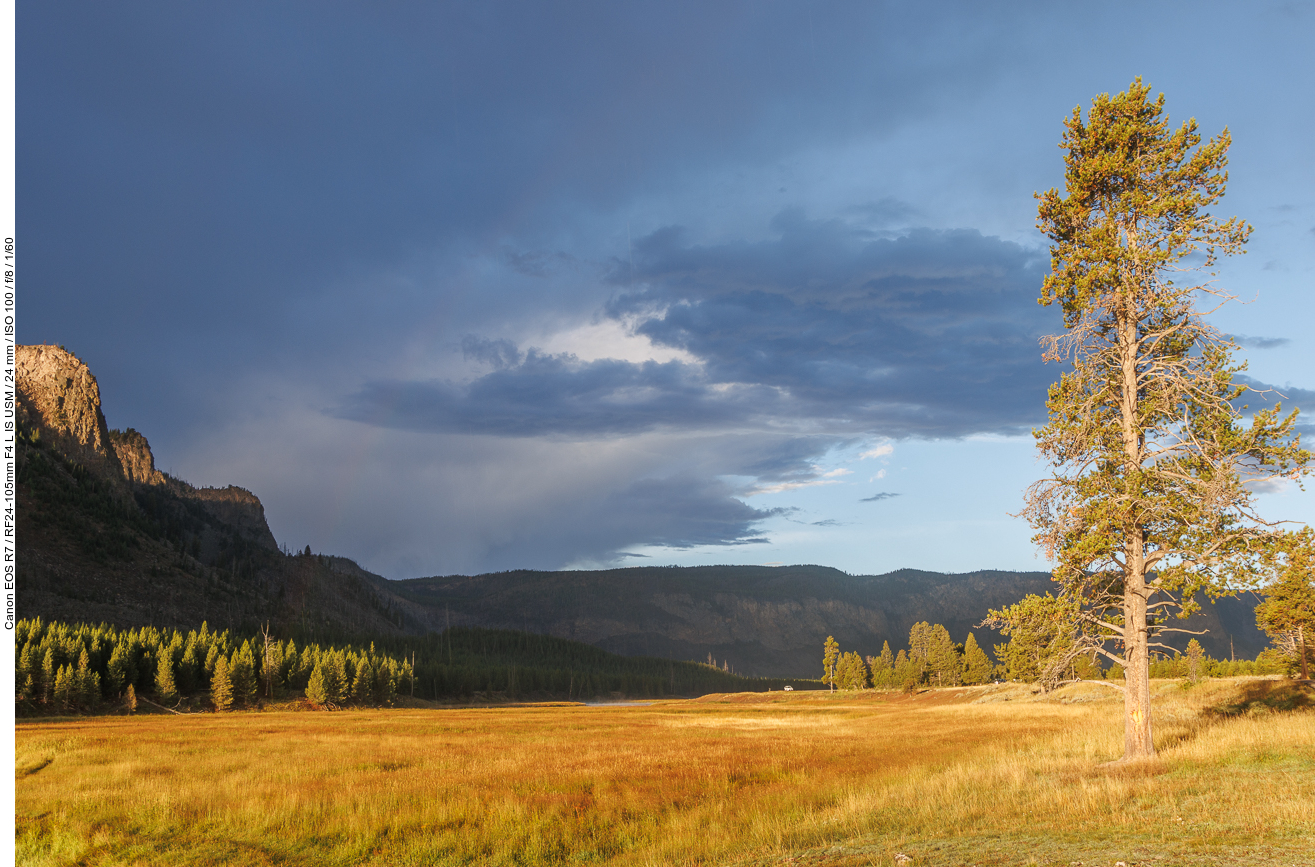 Am Firehole River