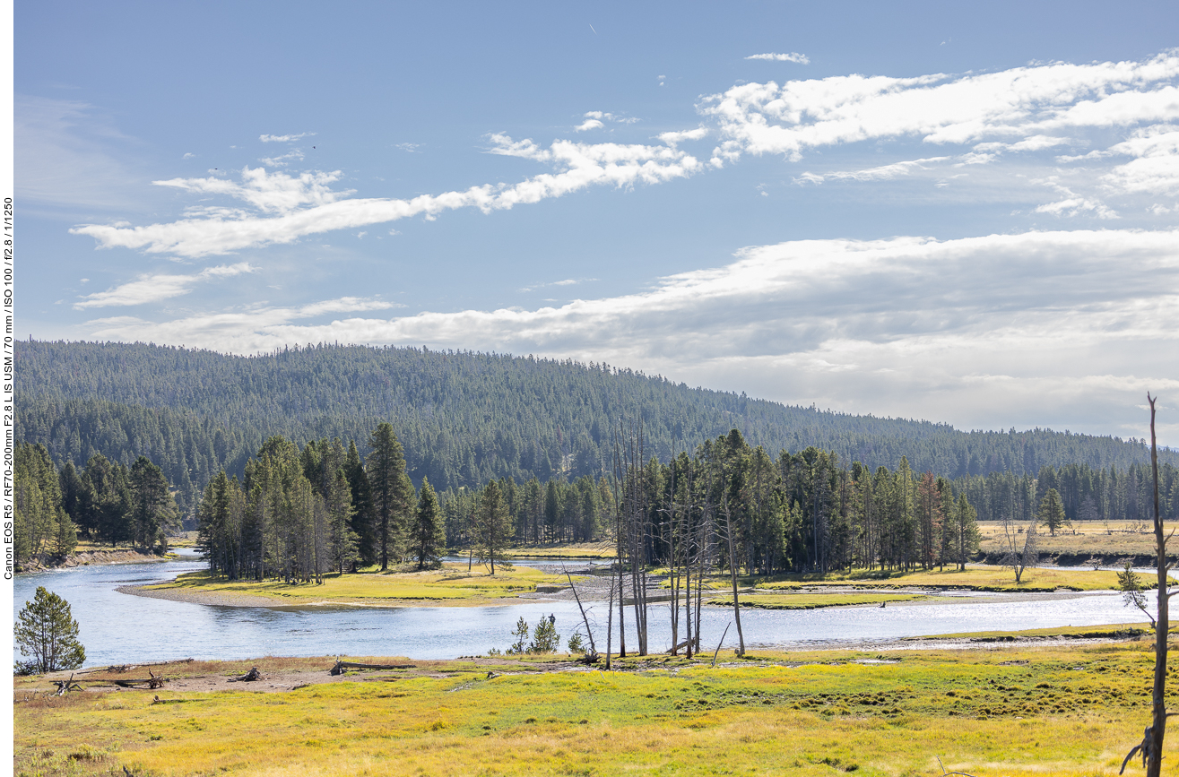 Inseln im Yellowstone River