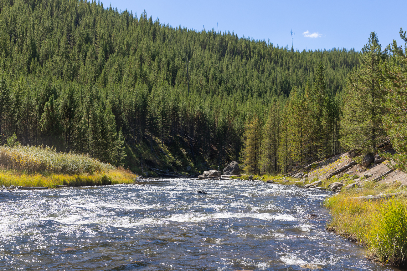 Wir fahren weiter am Firehole River entlang