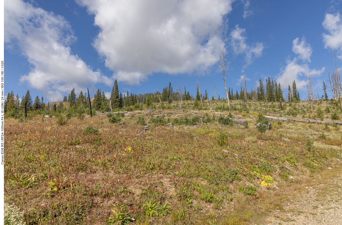 Auf dem Weg zum Lulu Pass