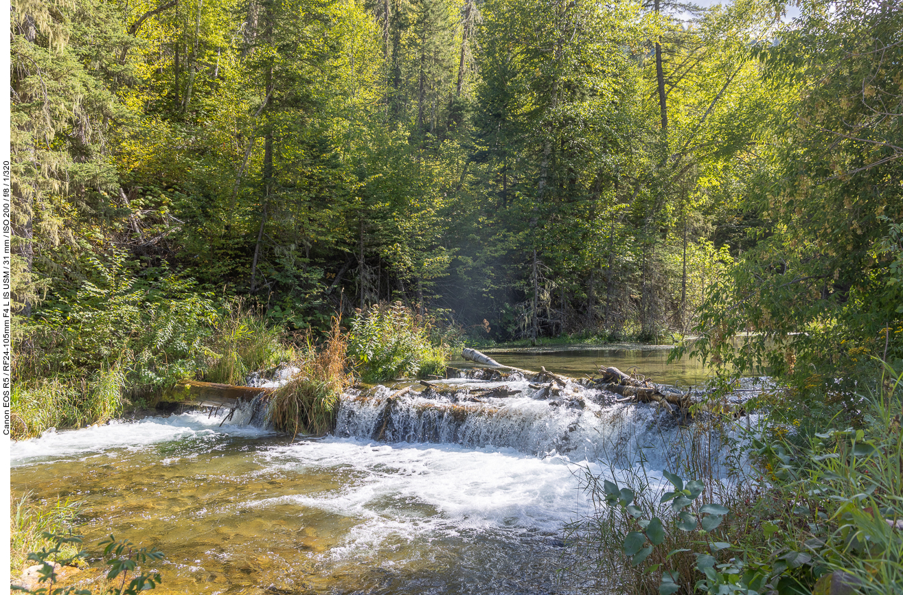 Mal ein schöner Bach im Tal ...