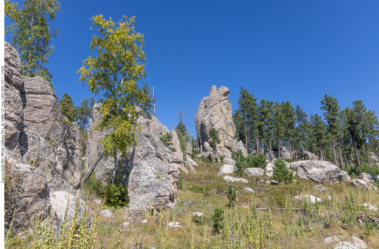 Schöne Landschaft ...