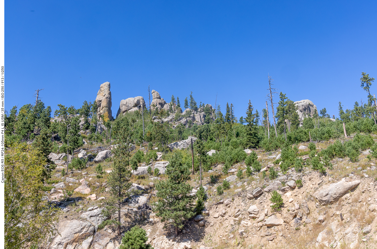 Der Needles Highway ist wirklich zu empfehlen