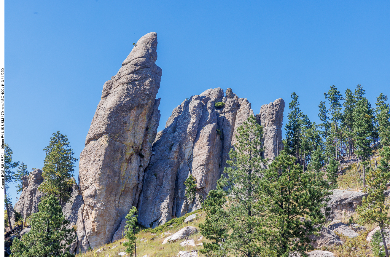 Das kleine Bäumchen an der Felsspitze ...