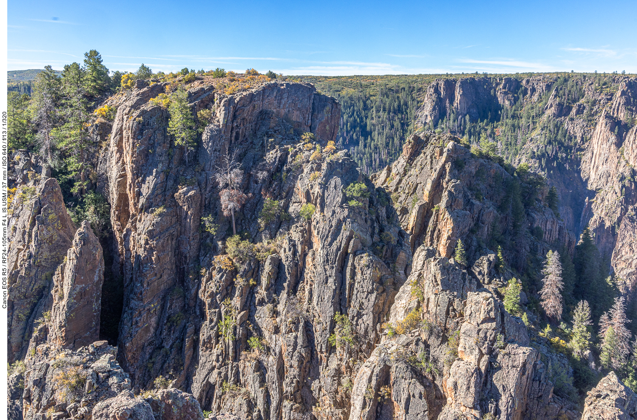 Am Rand der Schlucht wachsen nicht nur Bäume und Sträucher ...