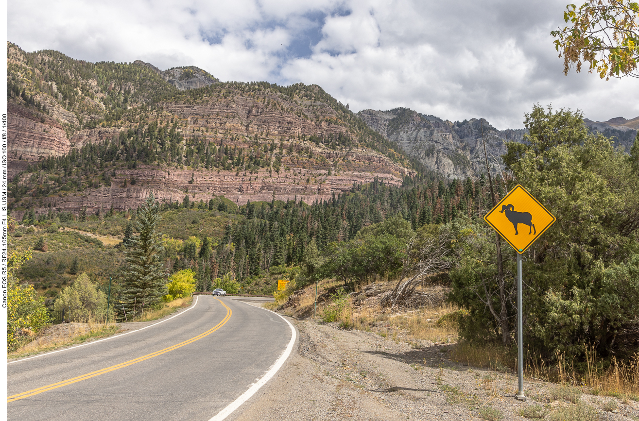 Wir fahren weiter und hoffen bei diesem Schild natürlich auf Wildlife