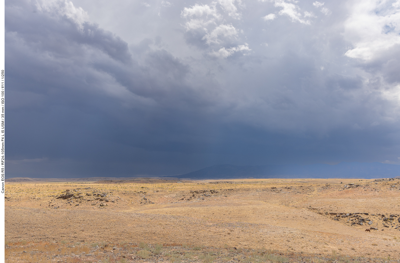 Schon wieder ein Gewitter am Horizont