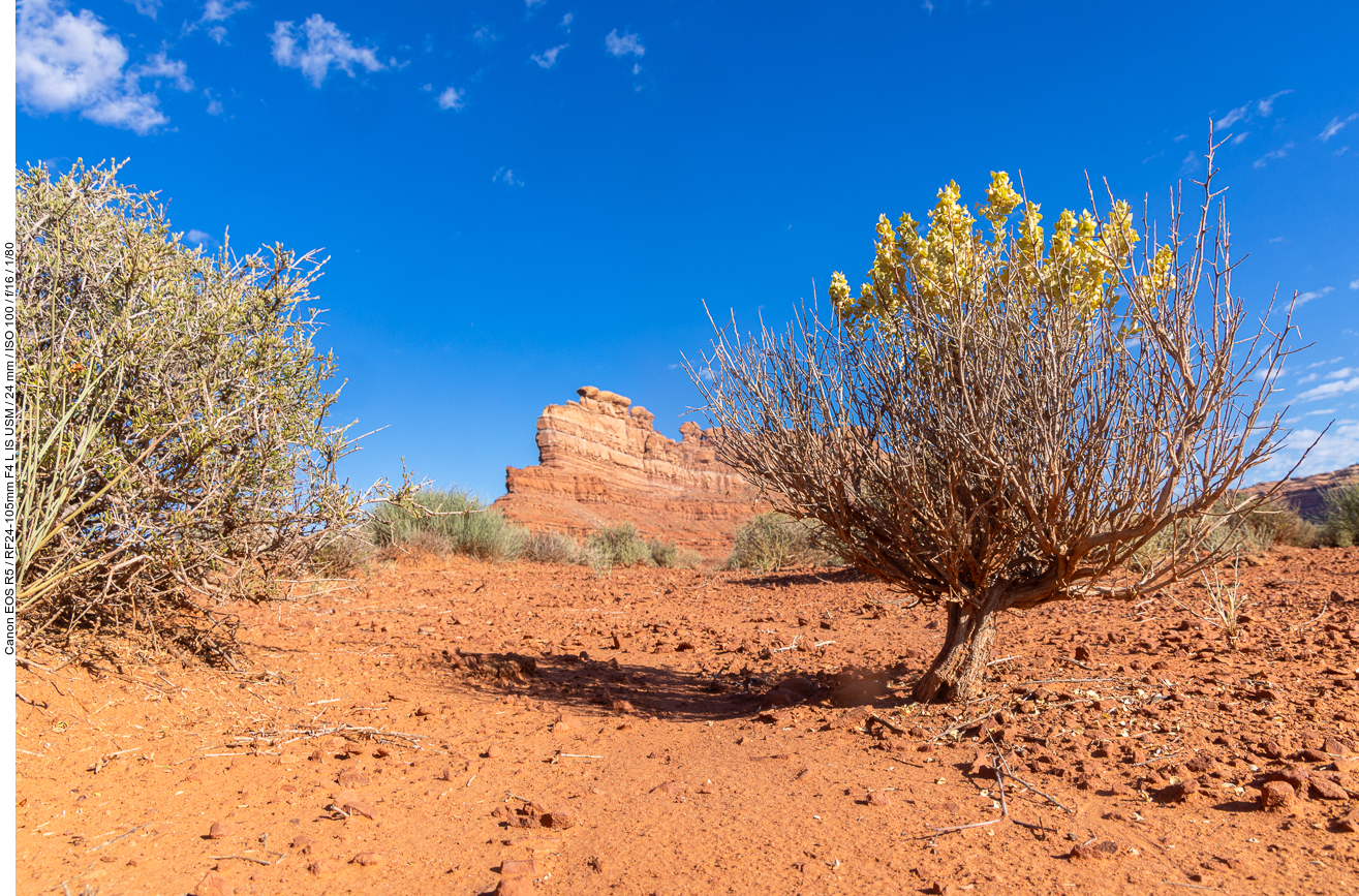 ... ohne den Touristenrummel wie im Monument Valley