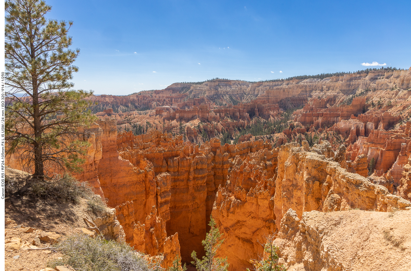 Wenn man einmal im Bryce Canyon war, dann ist man gebryced ;-)