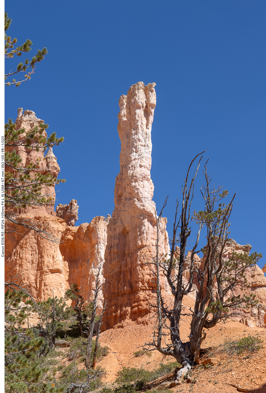 Schlanker Turm