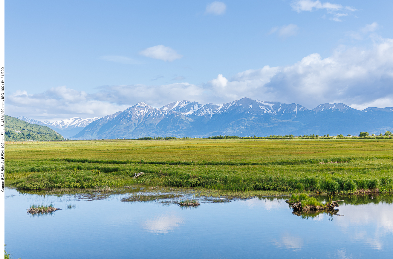 Potter Marsh