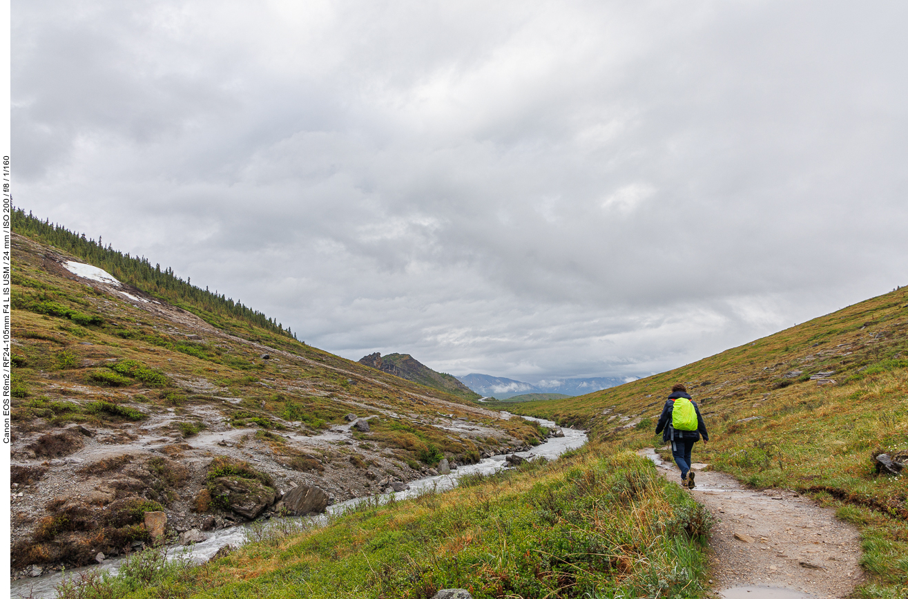 Wanderweg am Savage River