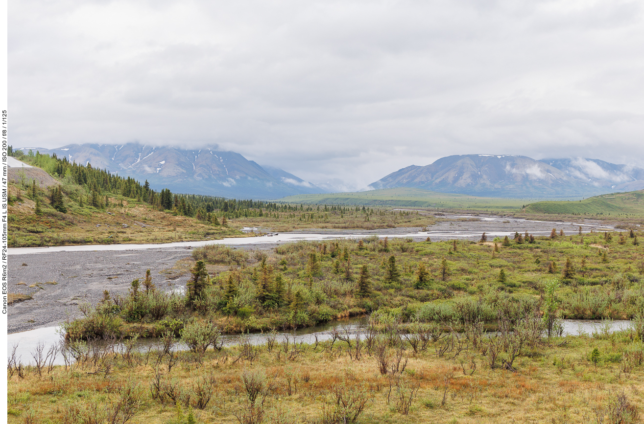 Das Flussbett des Savage River