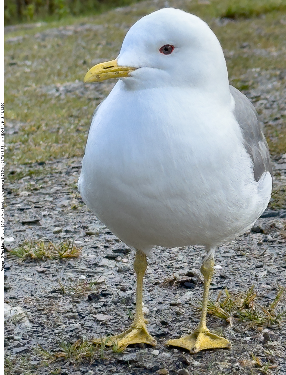 ... natürlich gibt es nichts, wir halten uns an die Regeln