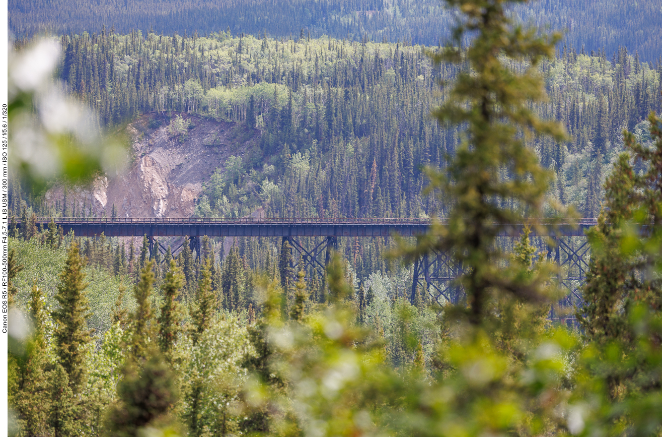 ... und auf die Brücke der Alaska Railroad