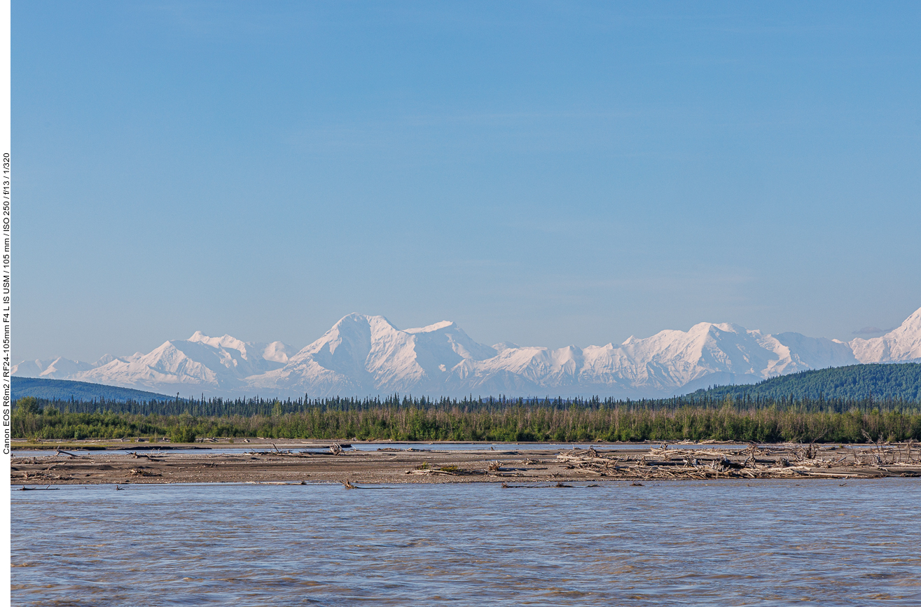 Treibholz auf dem Tanana River
