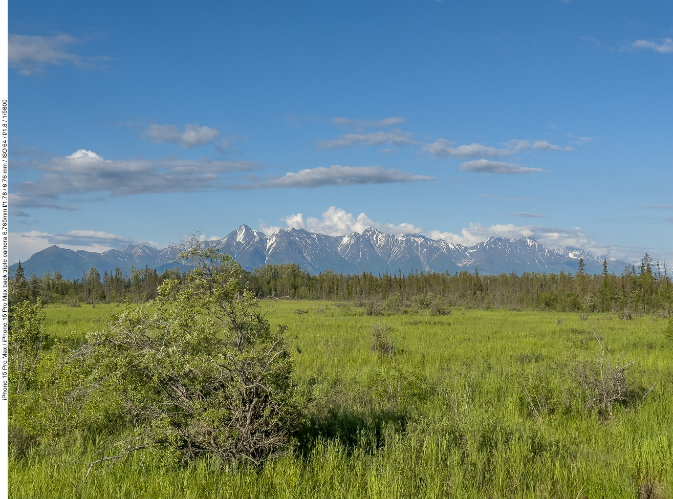 Tolle Sumpf-Landschaft