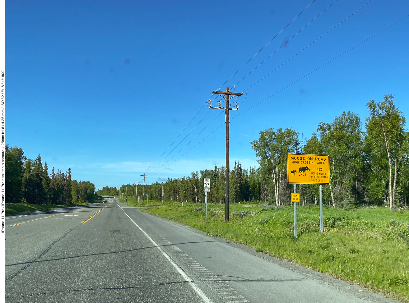 ... stehen auf der Kenai-Halbinsel