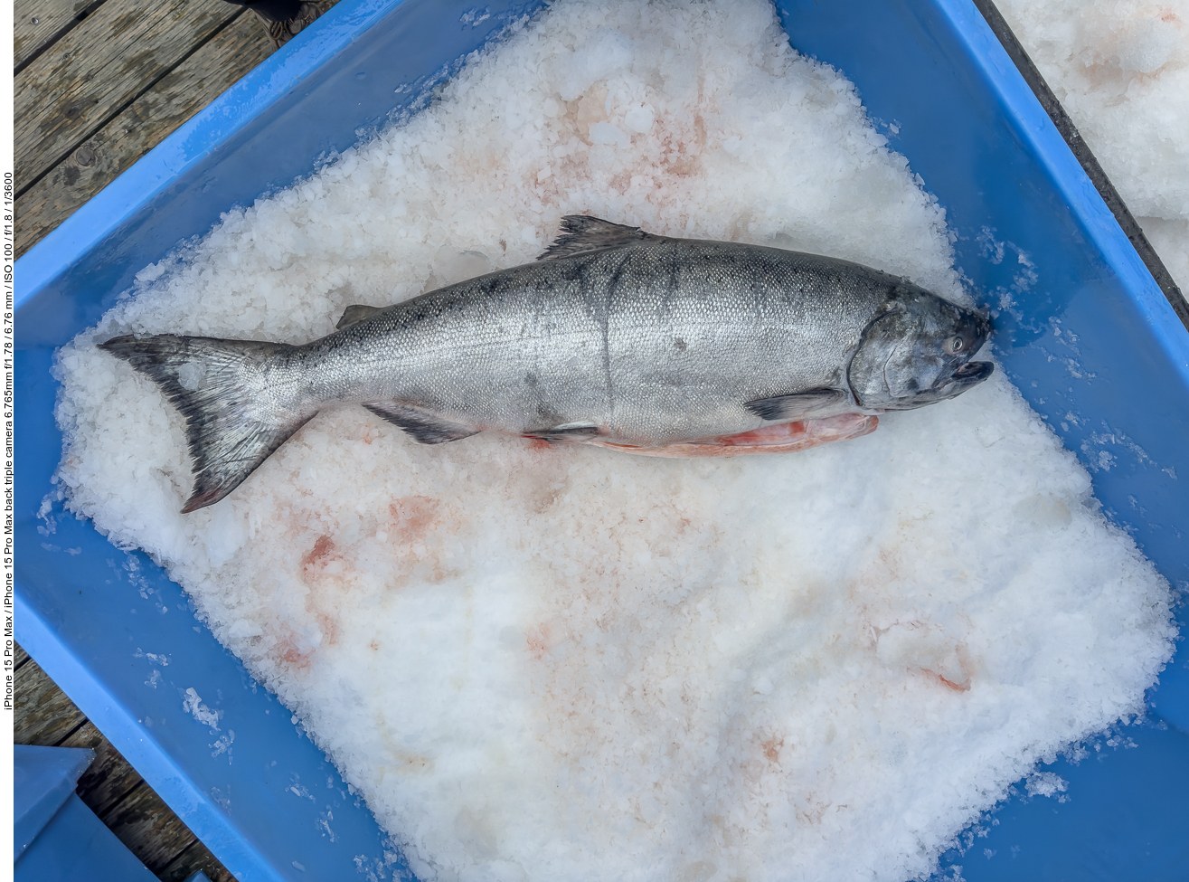 Gibt es heute Abend Fisch?