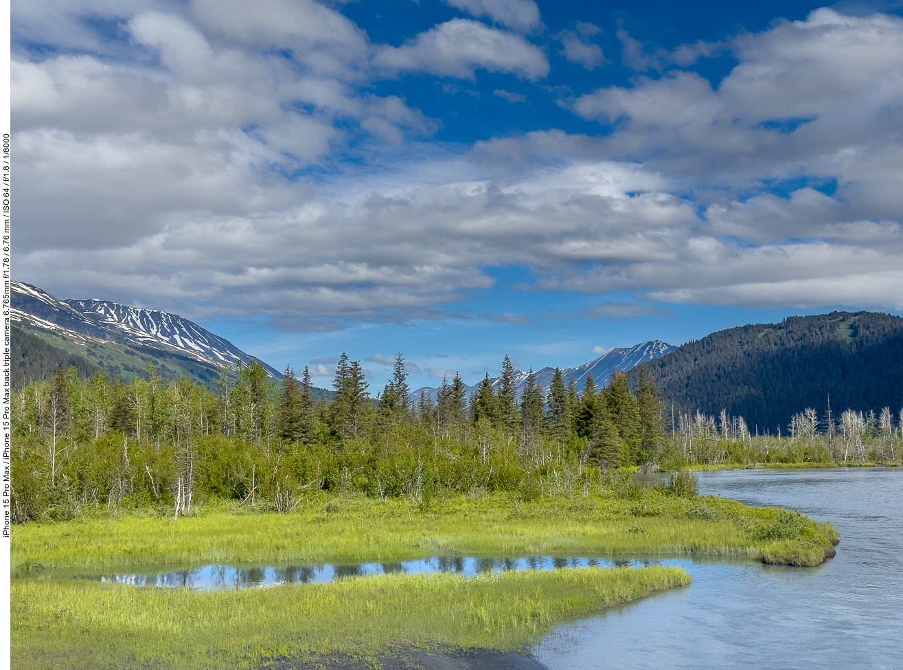 Uferlandschaft