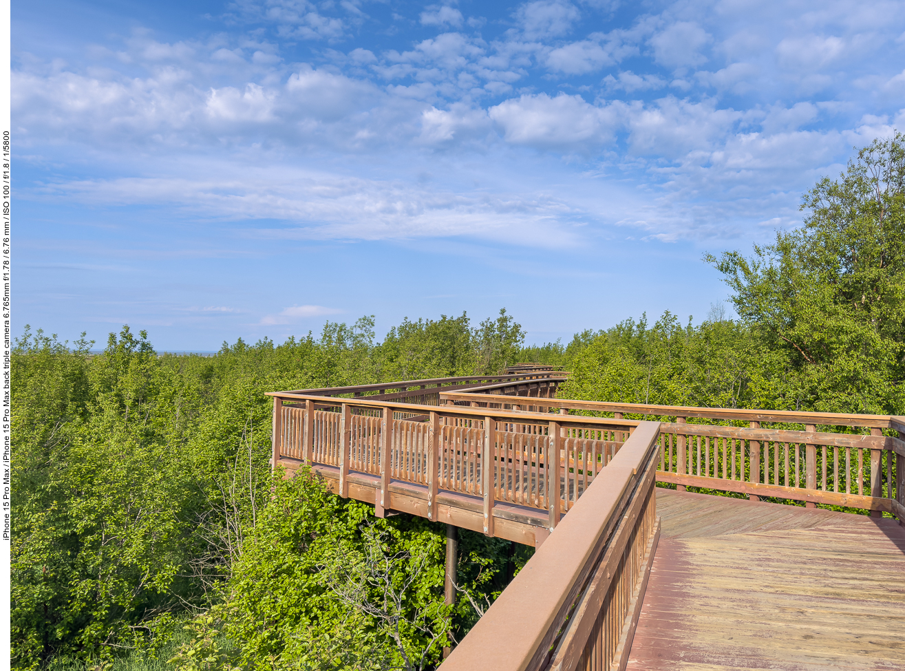 Holzbrücke am Rande des Potter Marsh Biotops