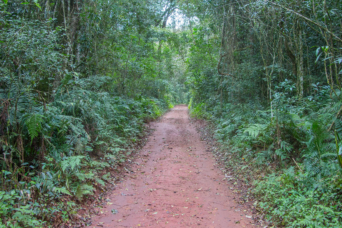 Weg durch den National Park 
