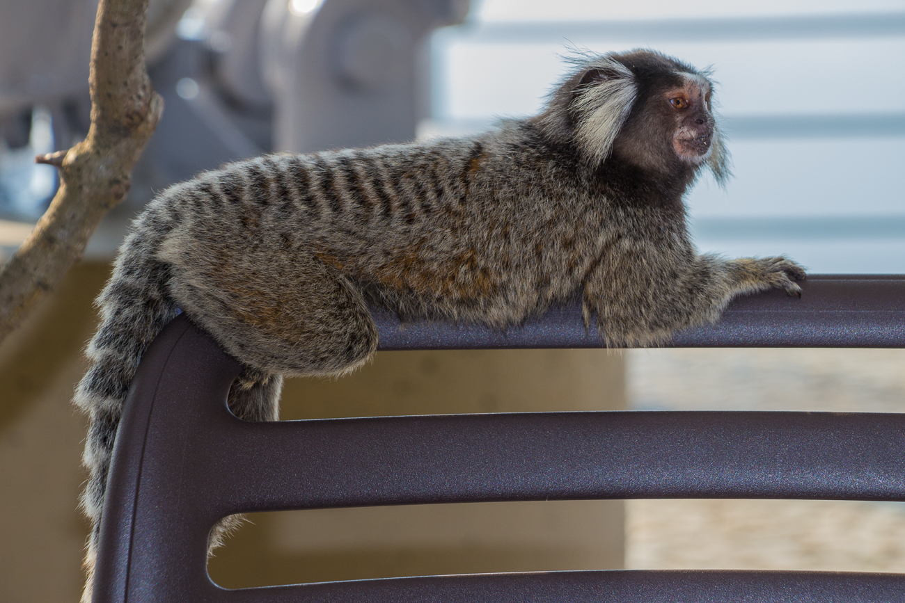 Völlig relaxed